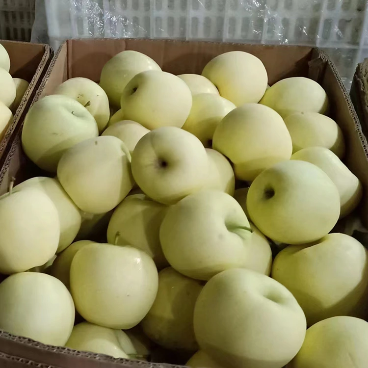 Fresh Golden Delicious Apples