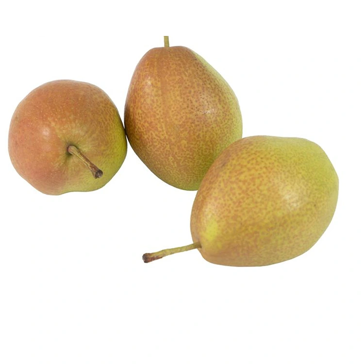 Superior Quality Fresh Hongxiangsu Pears