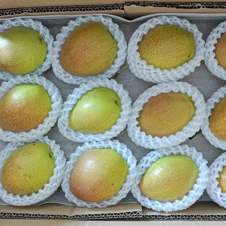 Superior Quality Fresh Hongxiangsu Pears