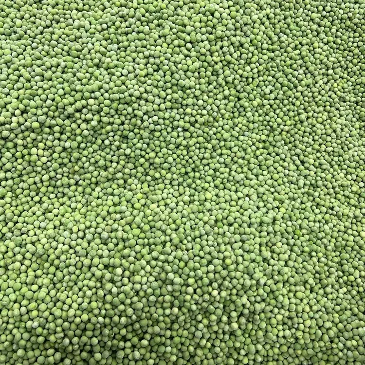 Sweet and Crisp Sugar Snap Peas