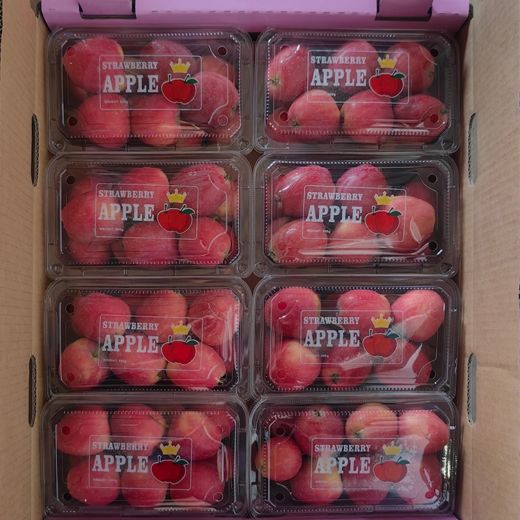 High-Grade New-Crop Chinese Cherry Apple