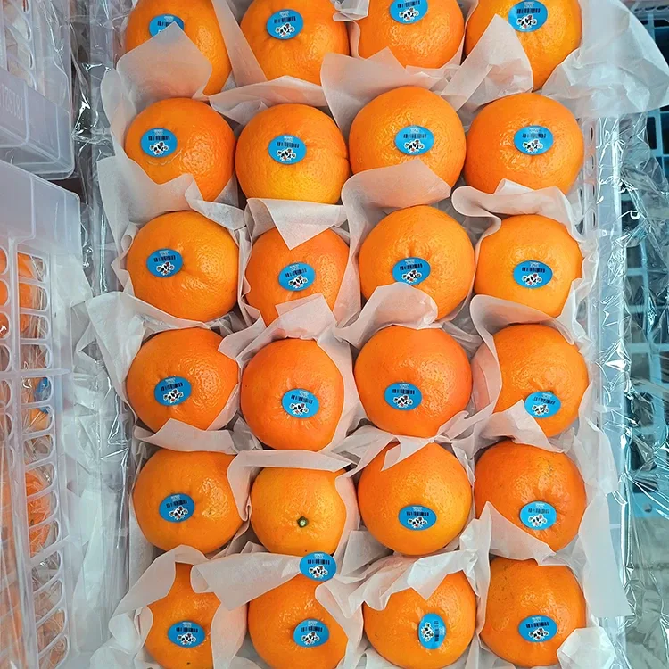 ส้มแมนดารินโวแกนหวานสดระดับพรีเมี่ยม