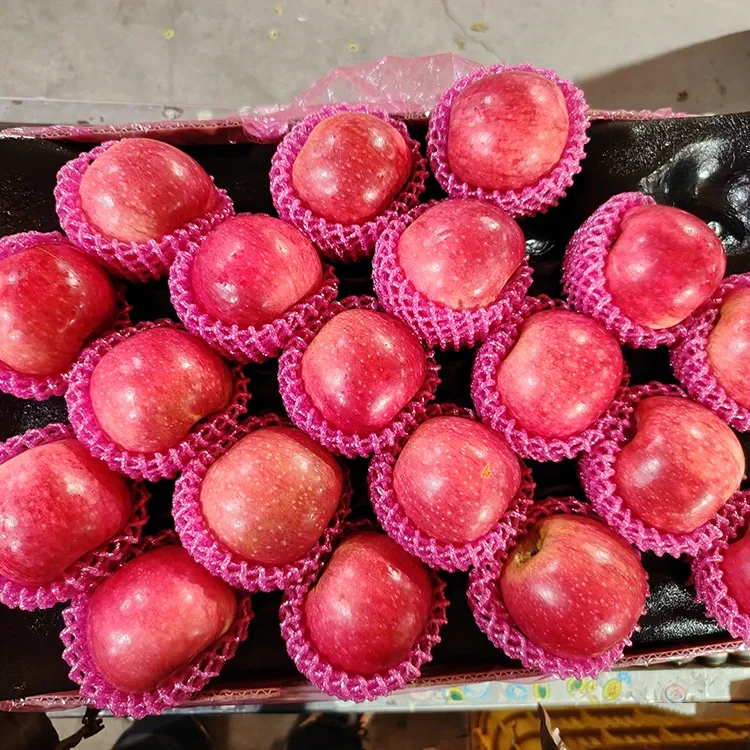 แอปเปิ้ล Jiguan สดที่เหนือกว่า